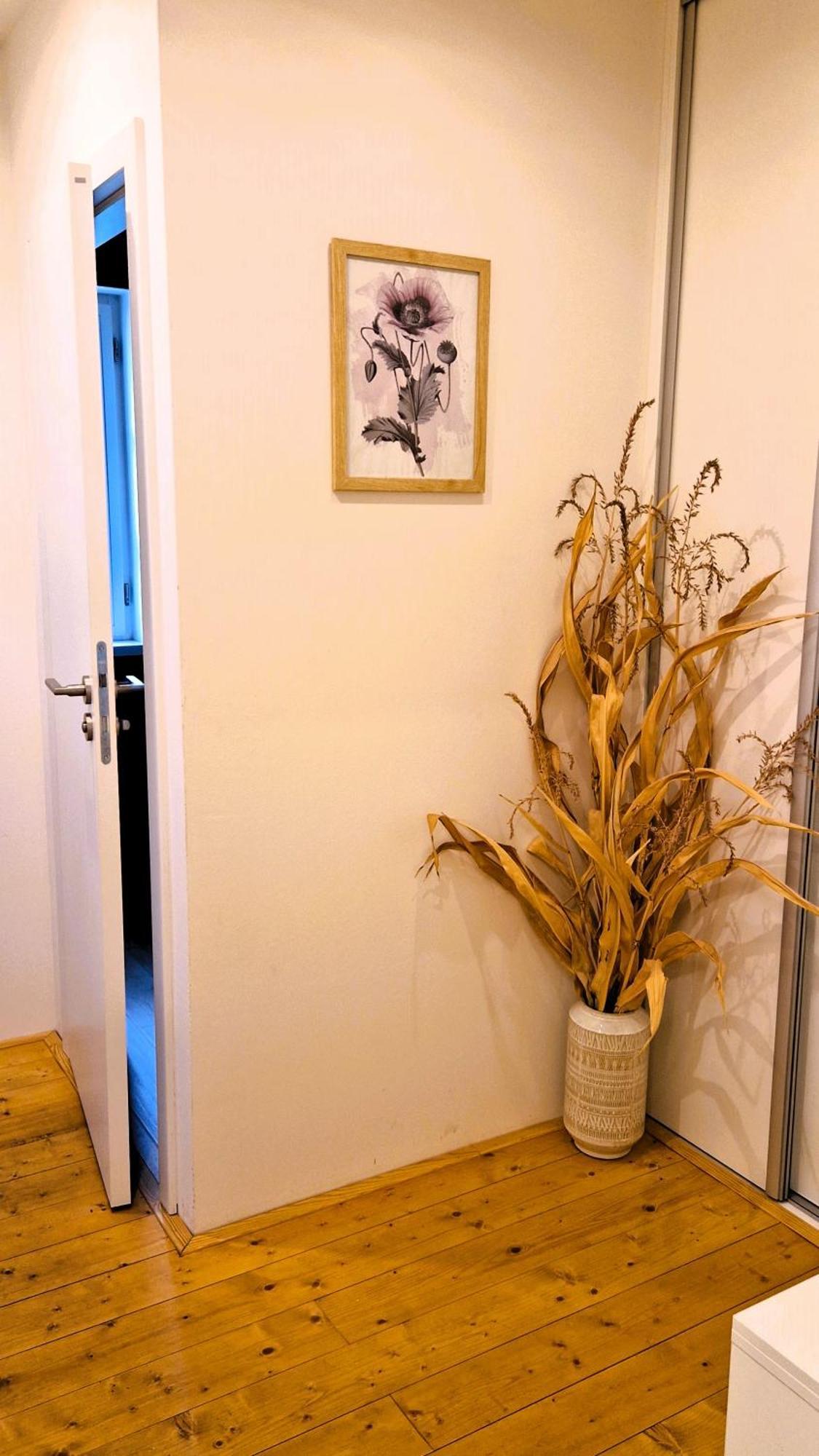 Apartmany Vcelin Brniste Dış mekan fotoğraf